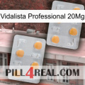 Vidalista Professional 20Mg 25